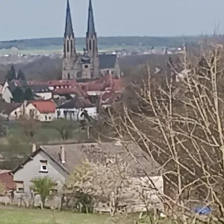 Daire Entre Sarre Et Albe Sarralbe